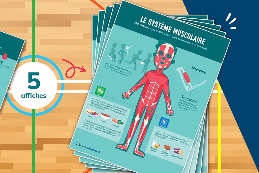 Posters to download (French only)