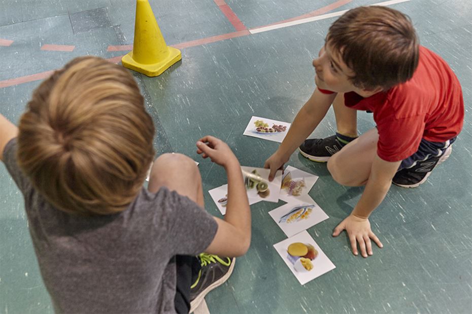 Active game: Who Are You? Where Do You Come From?