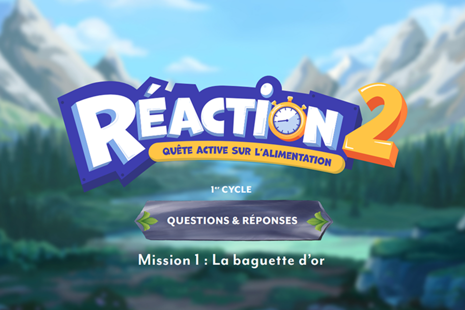 Réaction 2 : Questions et réponses