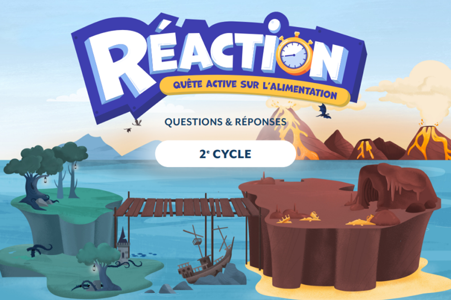 Réaction 1: Questions and answers