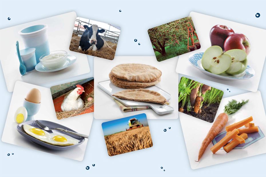 3 Activities on Where Foods Come From