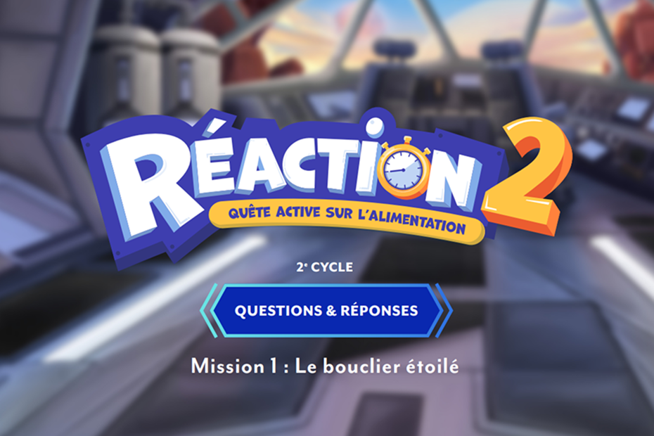 Réaction 2: Questions and answers