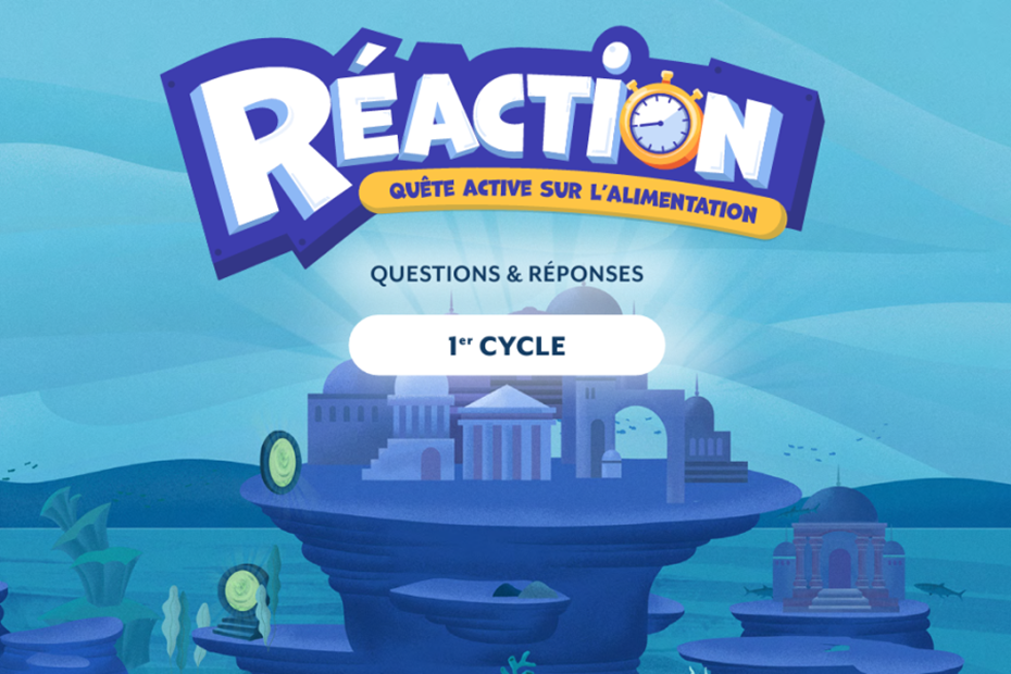 Réaction 1: Questions and answers