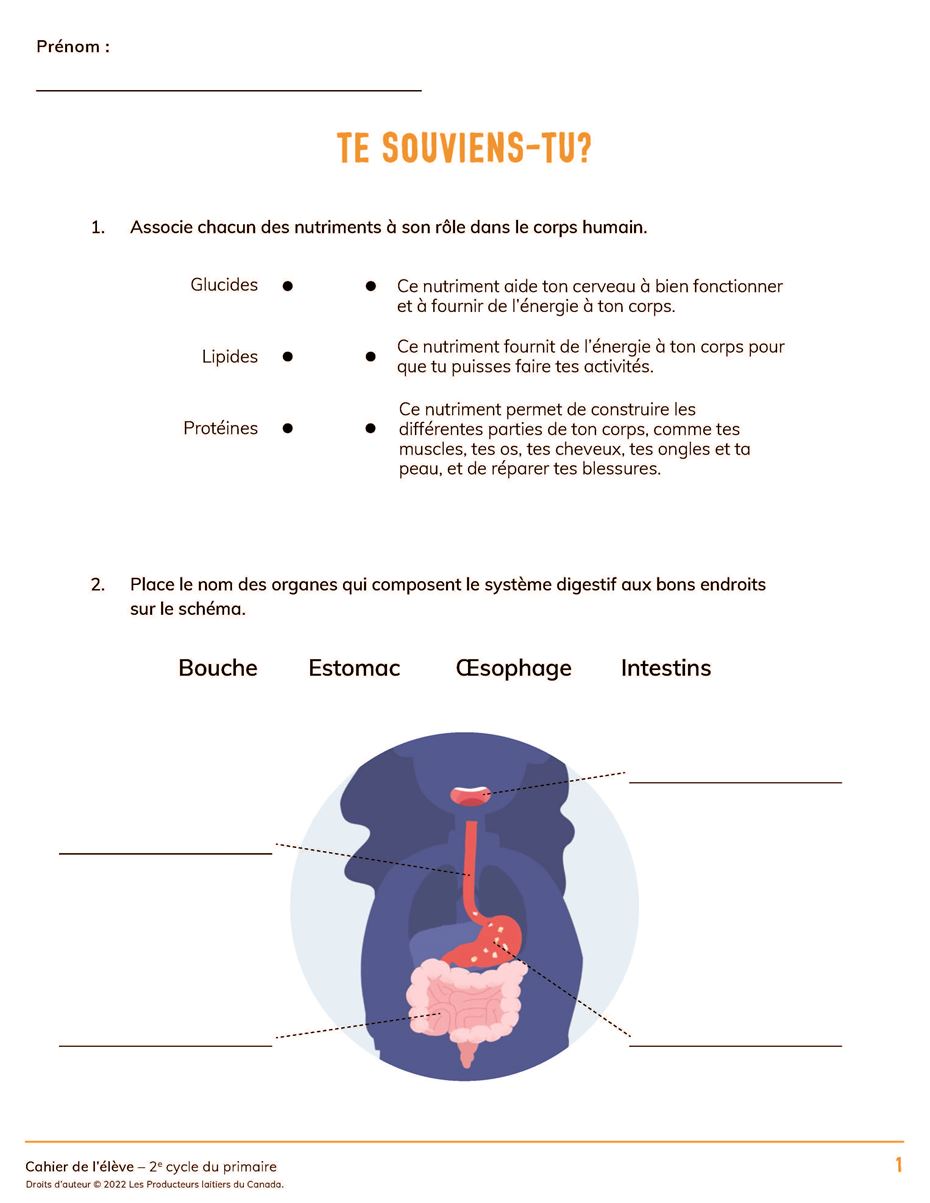 Page From Cahier De L'élève Cycle 2 - Te souviens tu ? FR