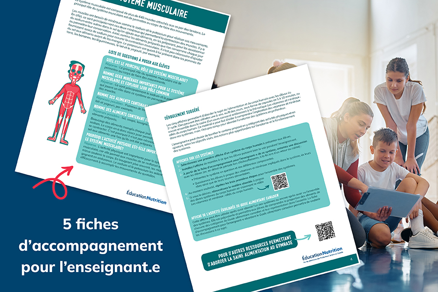Information sheets for teachers (in French only)